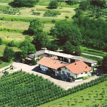 Weingut Ringwald Apartment Herbolzheim Luaran gambar