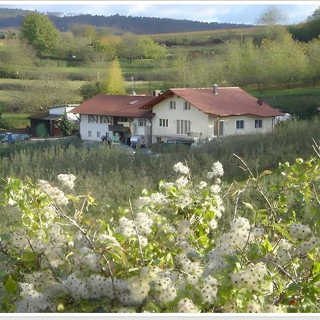 Weingut Ringwald Apartment Herbolzheim Luaran gambar