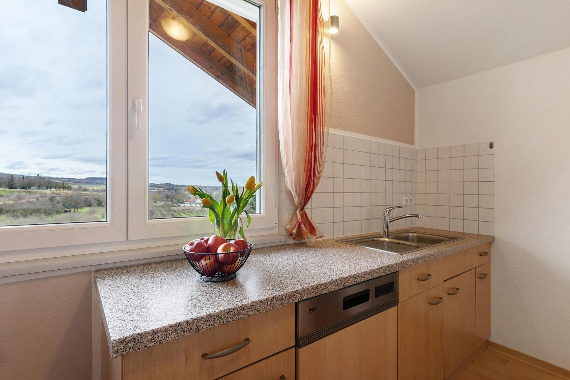 Weingut Ringwald Apartment Herbolzheim Luaran gambar