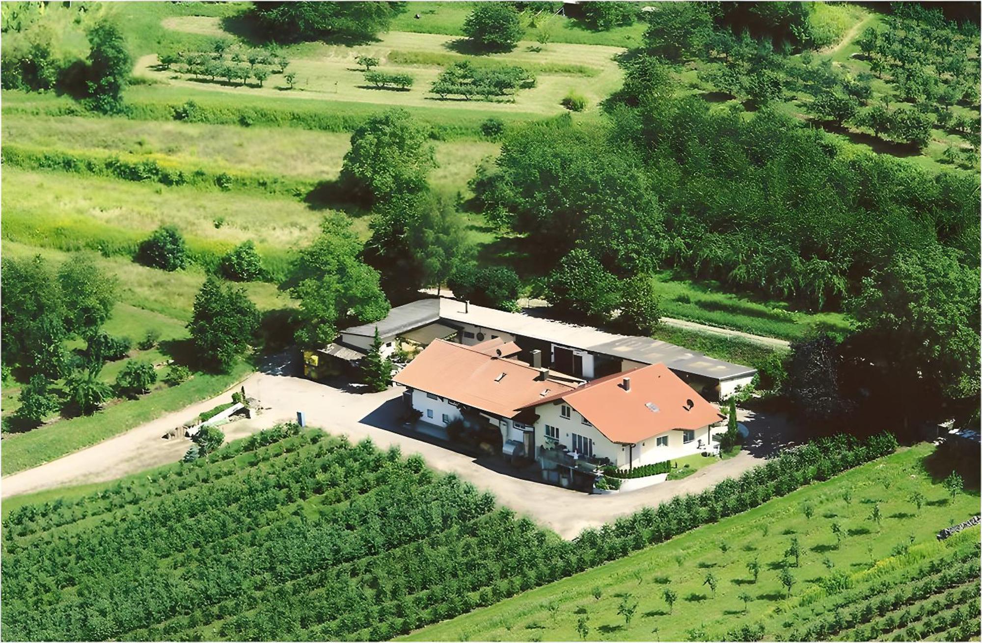 Weingut Ringwald Apartment Herbolzheim Luaran gambar