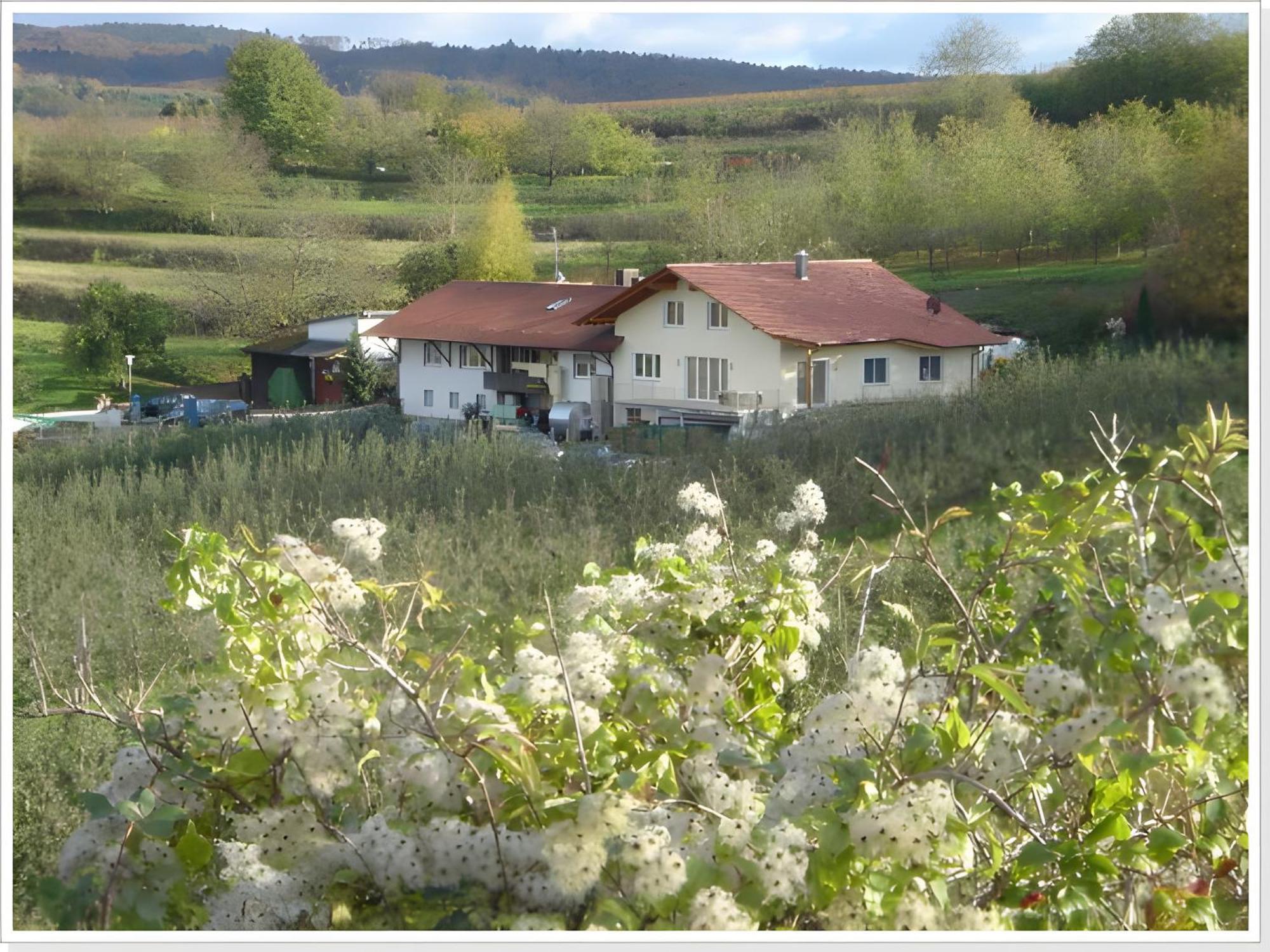 Weingut Ringwald Apartment Herbolzheim Luaran gambar